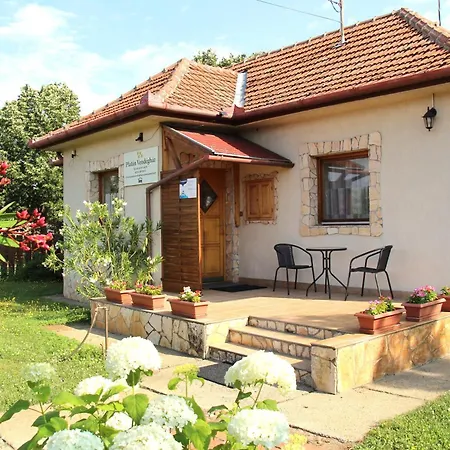 Apartment Platan Vendeghaz *