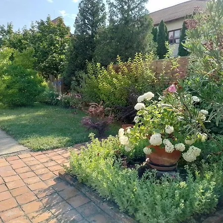 Apartment Platan Vendeghaz *